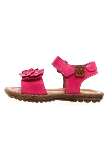 Naturino Leder-Sandalen in Fuchsia