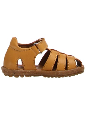 Naturino Leren enkelsandalen "Lagoon" lichtbruin