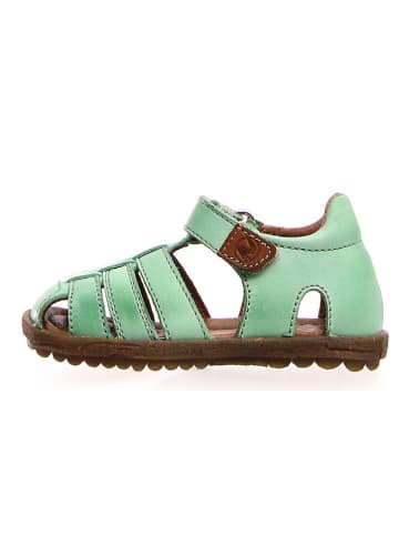 Naturino Leren enkelsandalen groen