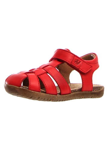 Naturino Leren enkelsandalen rood