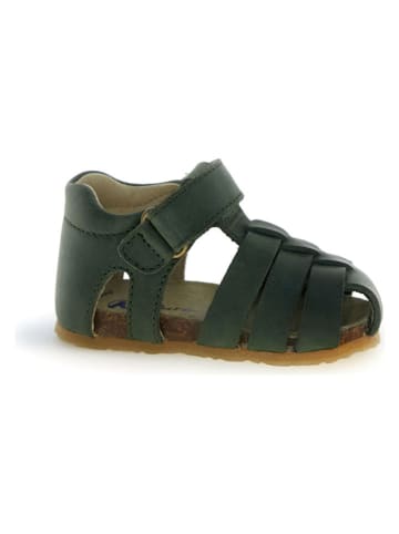Naturino Enkelsandalen groen