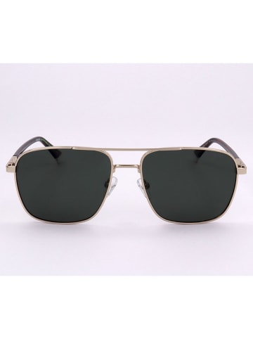 Polaroid Herren-Sonnenbrille in Gold/ Schwarz
