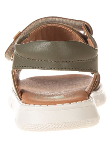 El Naturalista Leren sandalen kaki