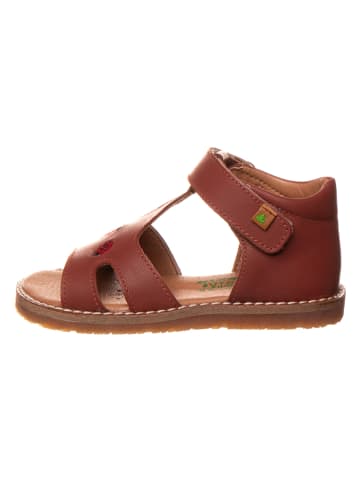 El Naturalista Leren sandalen bruin
