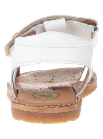 El Naturalista Leder-Sandalen in Weiß
