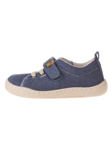 El Naturalista Sneakers blauw