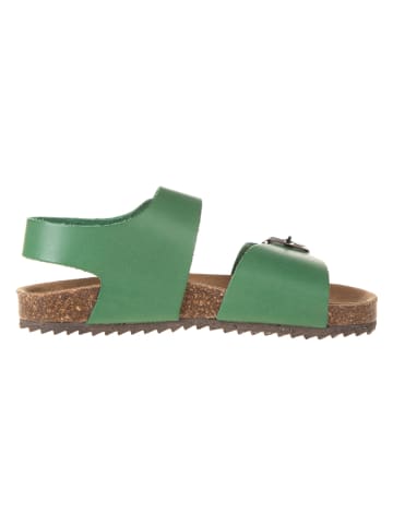 El Naturalista Leren sandalen groen