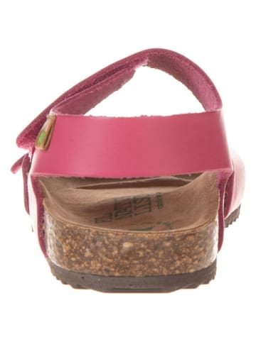 El Naturalista Leder-Sandalen in Pink