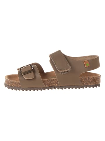 El Naturalista Leren sandalen lichtbruin