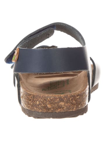 El Naturalista Leder-Sandalen in Dunkelblau