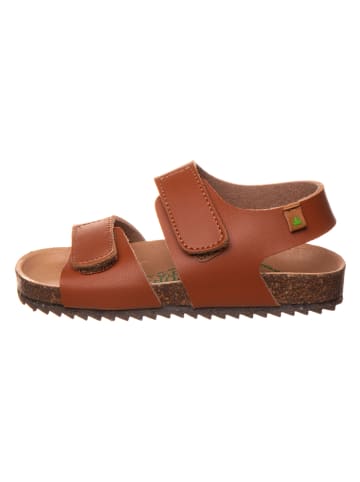 El Naturalista Sandalen in Cognac