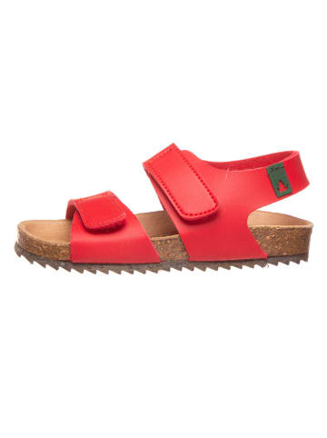El Naturalista Sandały w kolorze czerwonym