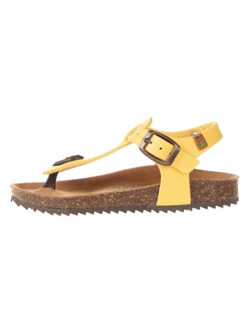 El Naturalista Leren teenslippers geel