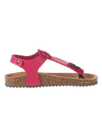 El Naturalista Leren teenslippers roze