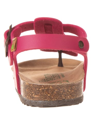 El Naturalista Skórzane japonki w kolorze różowym