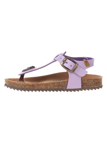 El Naturalista Leren teenslippers paars