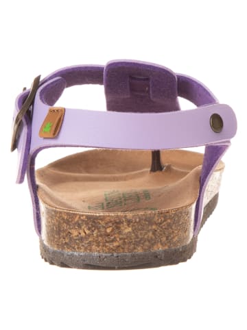 El Naturalista Skórzane japonki w kolorze fioletowym