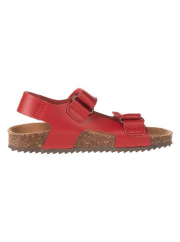 El Naturalista Leder-Sandalen in Rot