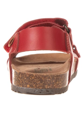 El Naturalista Leren sandalen rood