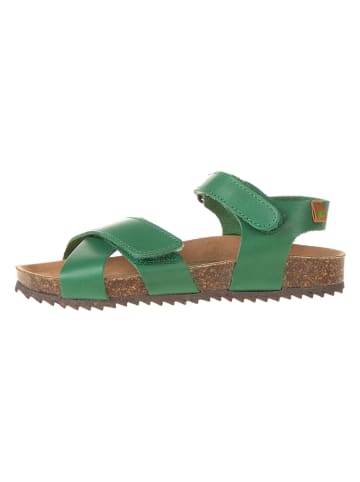 El Naturalista Leren sandalen groen