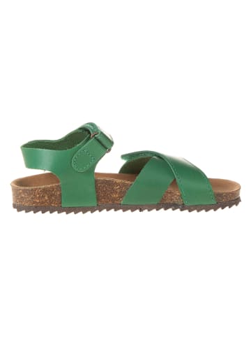 El Naturalista Leren sandalen groen