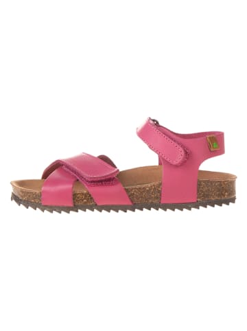El Naturalista Leder-Sandalen in Pink