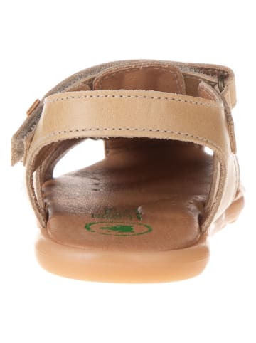 El Naturalista Leder-Sandalen in Beige