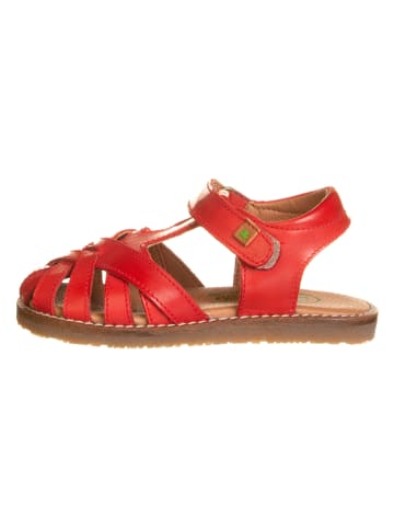El Naturalista Leren enkelsandalen "Atenas" rood