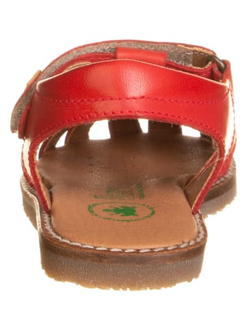 El Naturalista Leren enkelsandalen "Atenas" rood