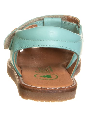 El Naturalista Enkelsandalen "Atenas" mintgroen