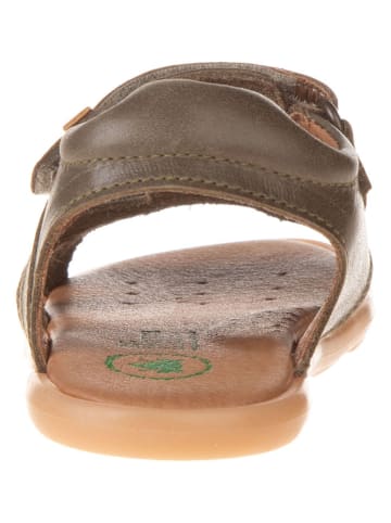 El Naturalista Leder-Sandalen in Braun