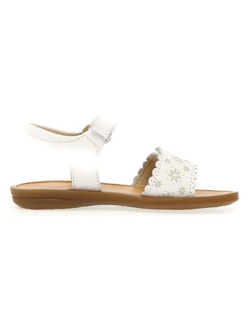 Naturino Leder-Sandalen "Cheve" in Weiß