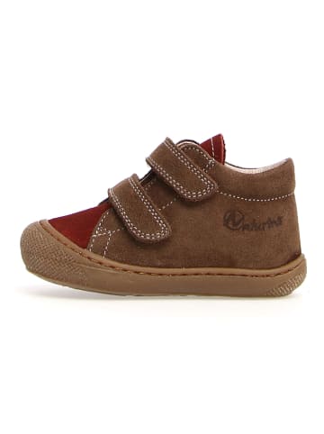 Naturino Leren sneakers bruin