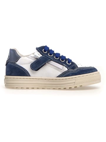 Naturino Sneakers "Ariton" wit/donkerblauw