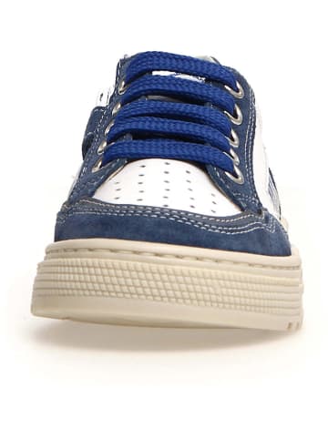 Naturino Sneakers "Ariton" wit/donkerblauw