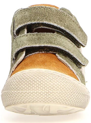 Naturino Leder-Sneakers "Macks" in Khaki/ Creme