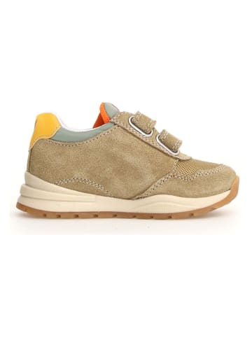 Naturino Leren sneakers "Daudi" kaki