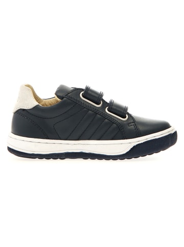 Naturino Leren sneakers "Nume" donkerblauw