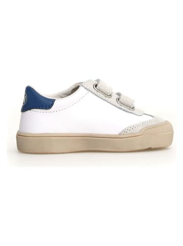 Naturino Leren sneakers "Riby" wit