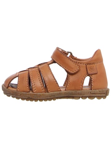 Naturino Leren enkelsandalen "See" lichtbruin