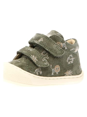 Naturino Leder-Lauflernschuhe "Cocoon" in Khaki