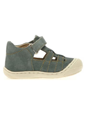 Naturino Leren enkelsandalen "Bede" grijs