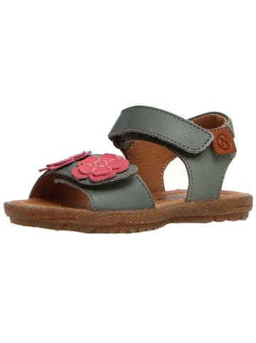 Naturino Leren sandalen "Begonia" kaki