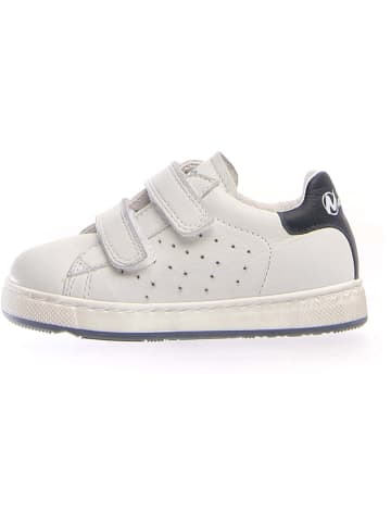 Naturino Leder-Sneakers "Hasselt" in Weiß