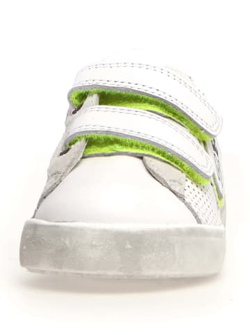 Naturino Leder-Sneakers "Korey" in Weiß/ Grün