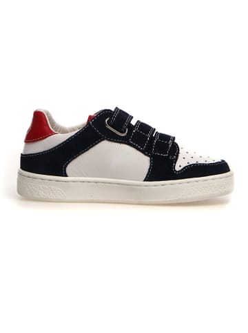 Naturino Leder-Sneakers "Theral" in Bunt