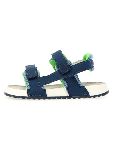 Naturino Leren sandalen "Bearis" donkerblauw