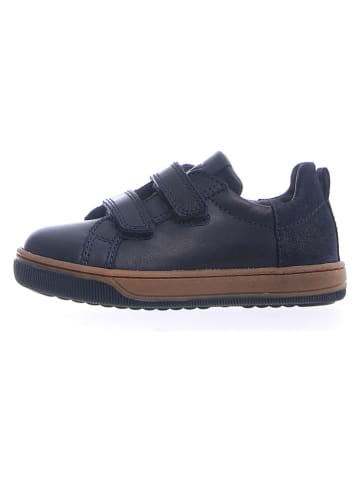 Naturino Leder-Sneakers "Caleb" in Dunkelblau