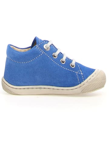 Naturino Leder-Lauflernschuhe "Coco" in Blau