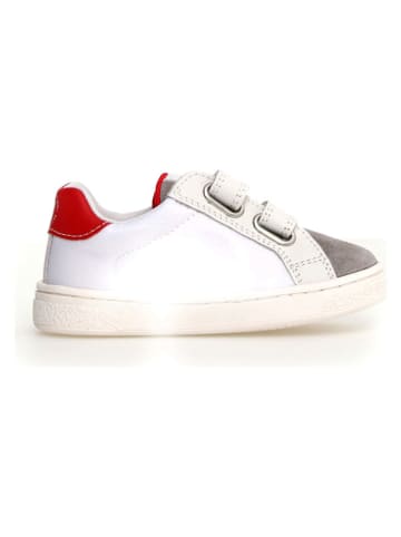 Naturino Skórzane sneakersy "Pinn" w kolorze białym